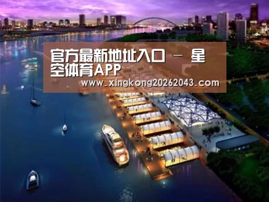 案例展示八