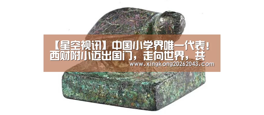 【星空视讯】中国小学界唯一代表!西财附小迈出国门,走向世界,共话财商!(图3) 星空APP