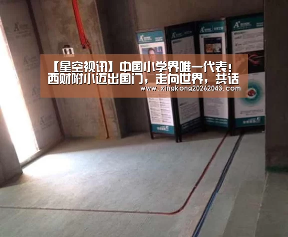 【星空视讯】中国小学界唯一代表!西财附小迈出国门,走向世界,共话财商!(图2) 星空APP