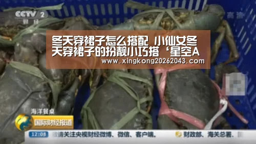 冬天穿裙子怎么搭配 小仙女冬天穿裙子的扮靓小巧搭‘星空APP’(图2) 星空娱乐