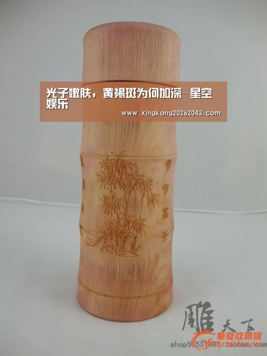 星空娱乐
