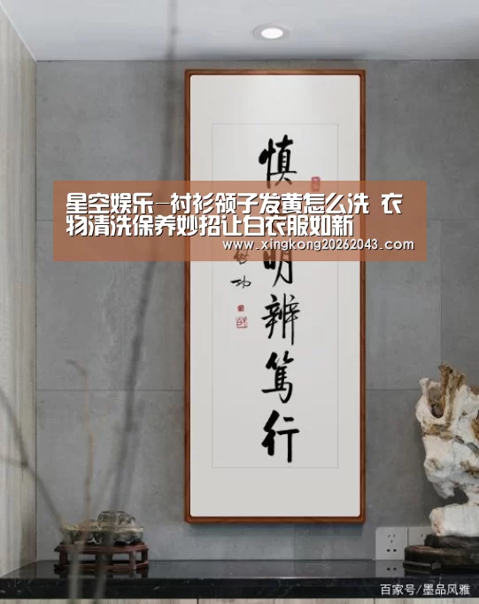 星空娱乐-衬衫领子发黄怎么洗 衣物清洗保养妙招让白衣服如新(图2) 星空下载